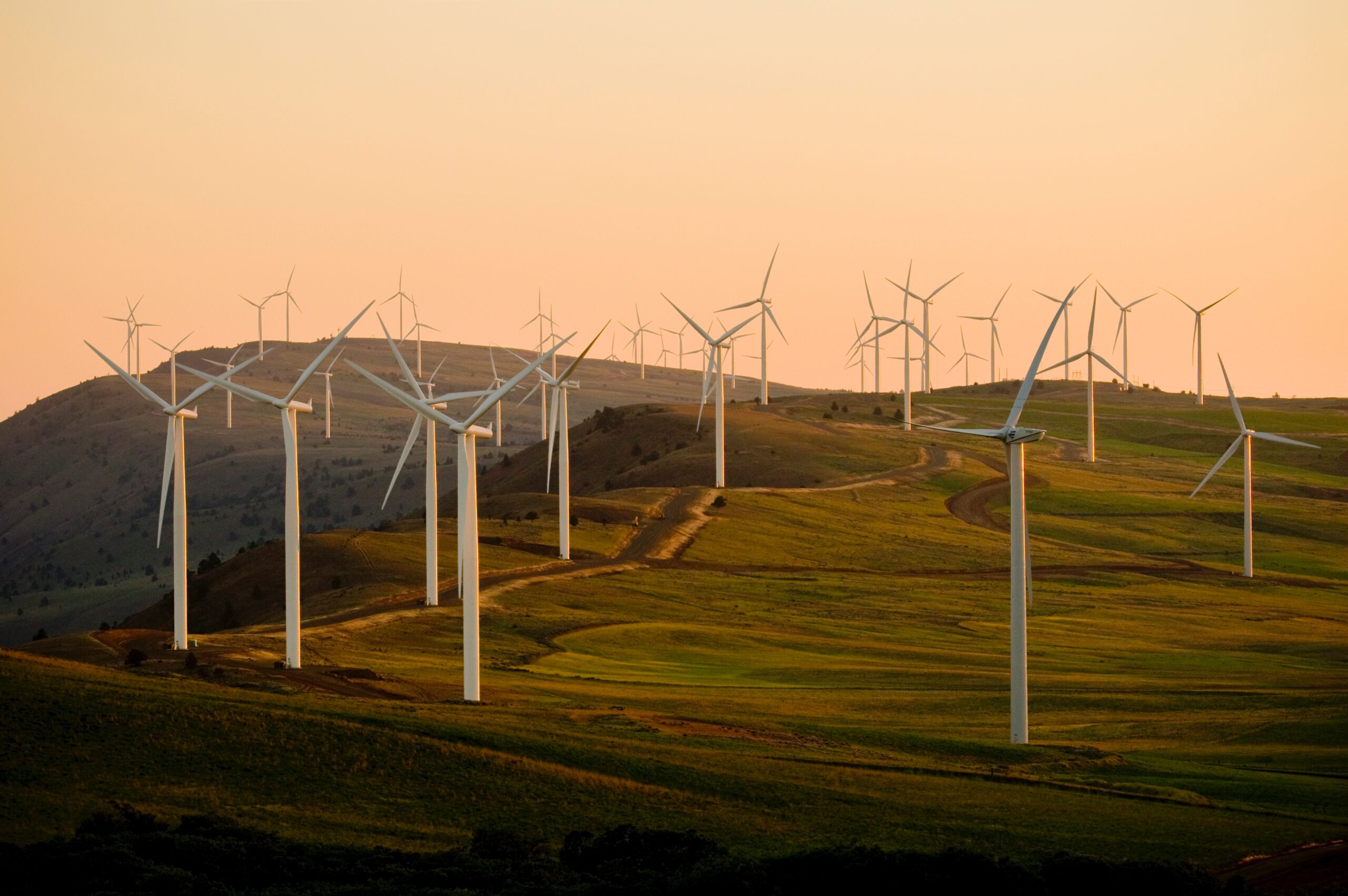Read more about the article La energía eólica, una gran apuesta para producir energía renovable