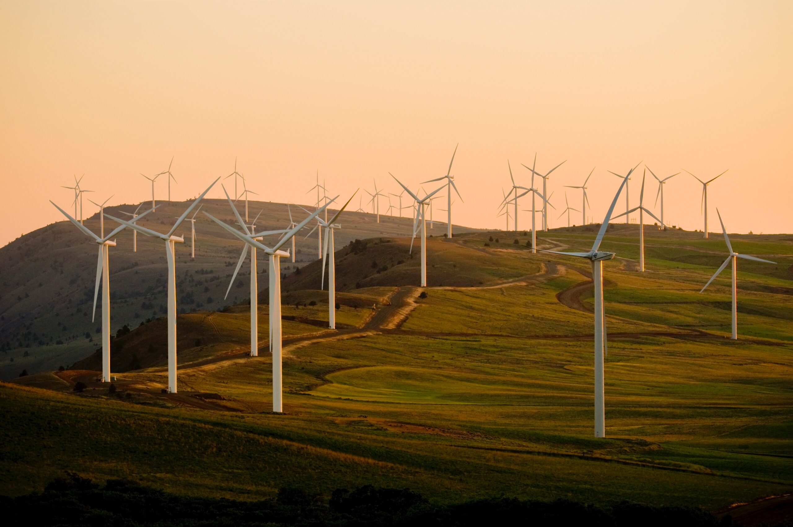 energía eólica