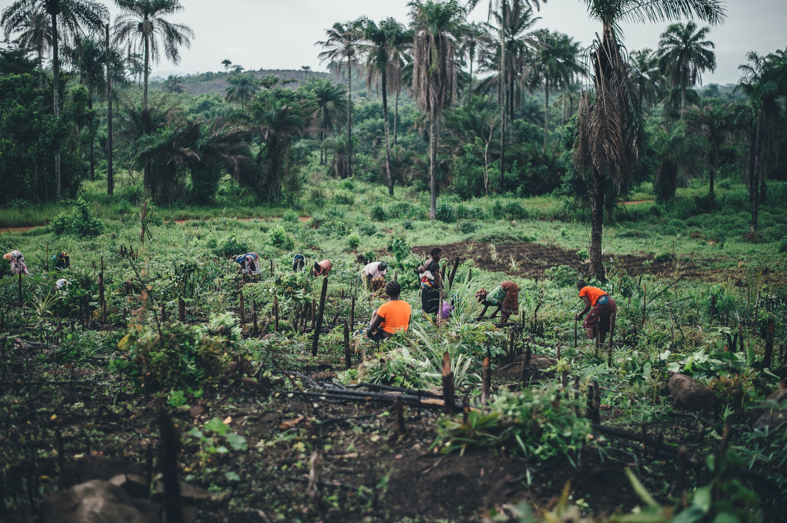 Read more about the article El fortalecimiento de la mujer rural desde el comercio justo