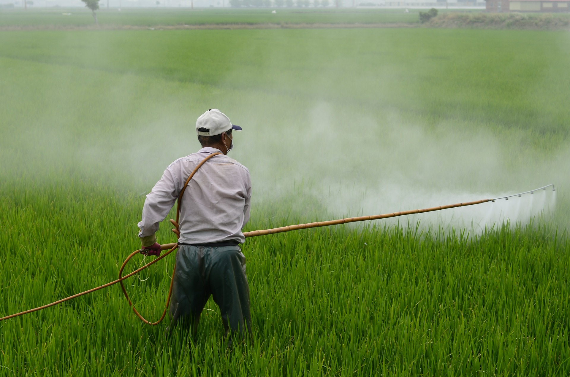 Read more about the article La industria de herbicidas trabaja en alternativas al glifosato